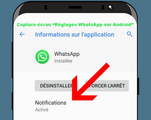 regalages notification whatsapp